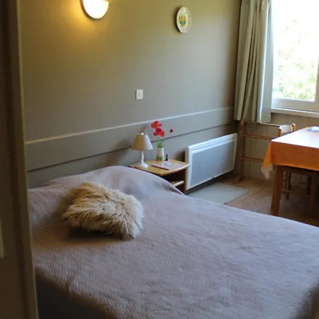 Cosy 2/3 Pers, 200m Pistes, Wifi, Parking, Animaux Ok - Fr-1-787-49